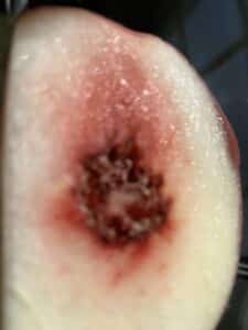 peach-half